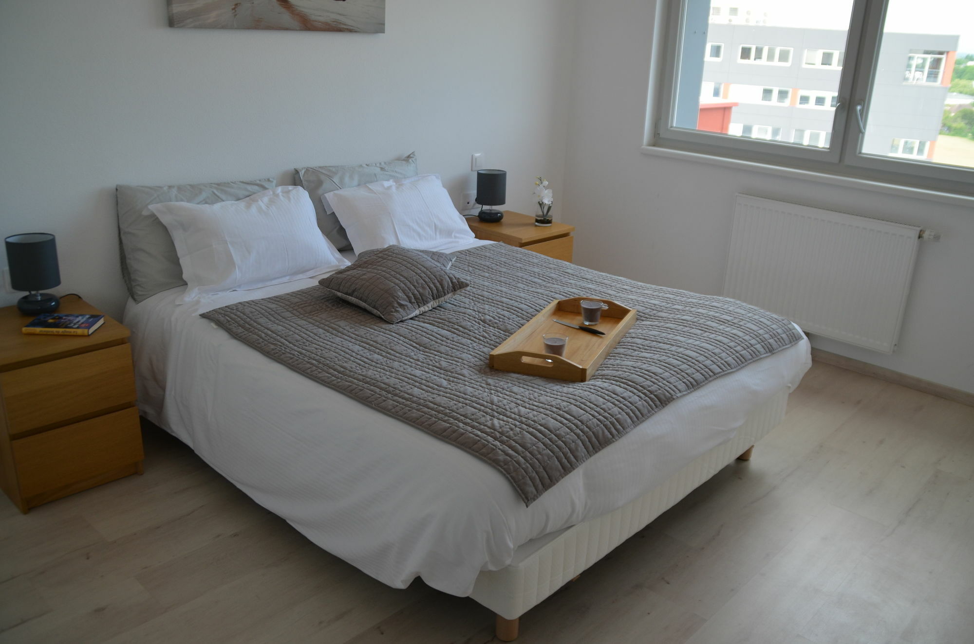 Appart' Du Trident Mulhouse Exterior foto